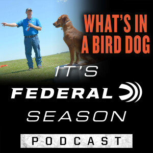 Episode No. 29 - What’s In A Bird Dog