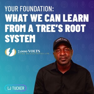Episode 15 - Inside a Tree's Root System and What We Can Learn From It