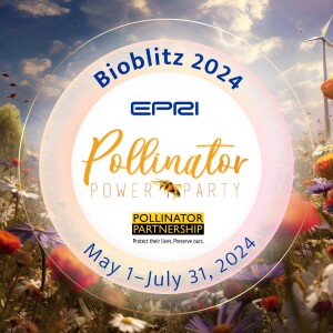 32. The Science Behind the Buzz: 2024 BioBlitz