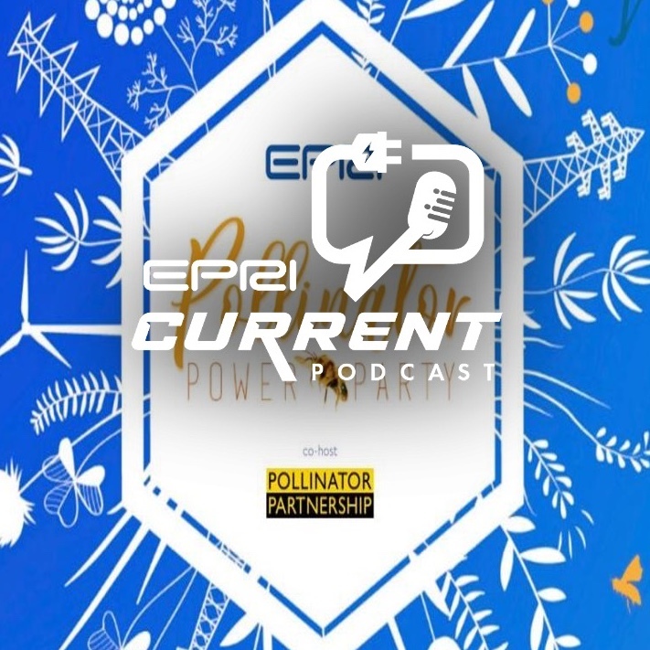 EPRI Current