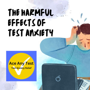 The Harmful Effects of Test Anxiety