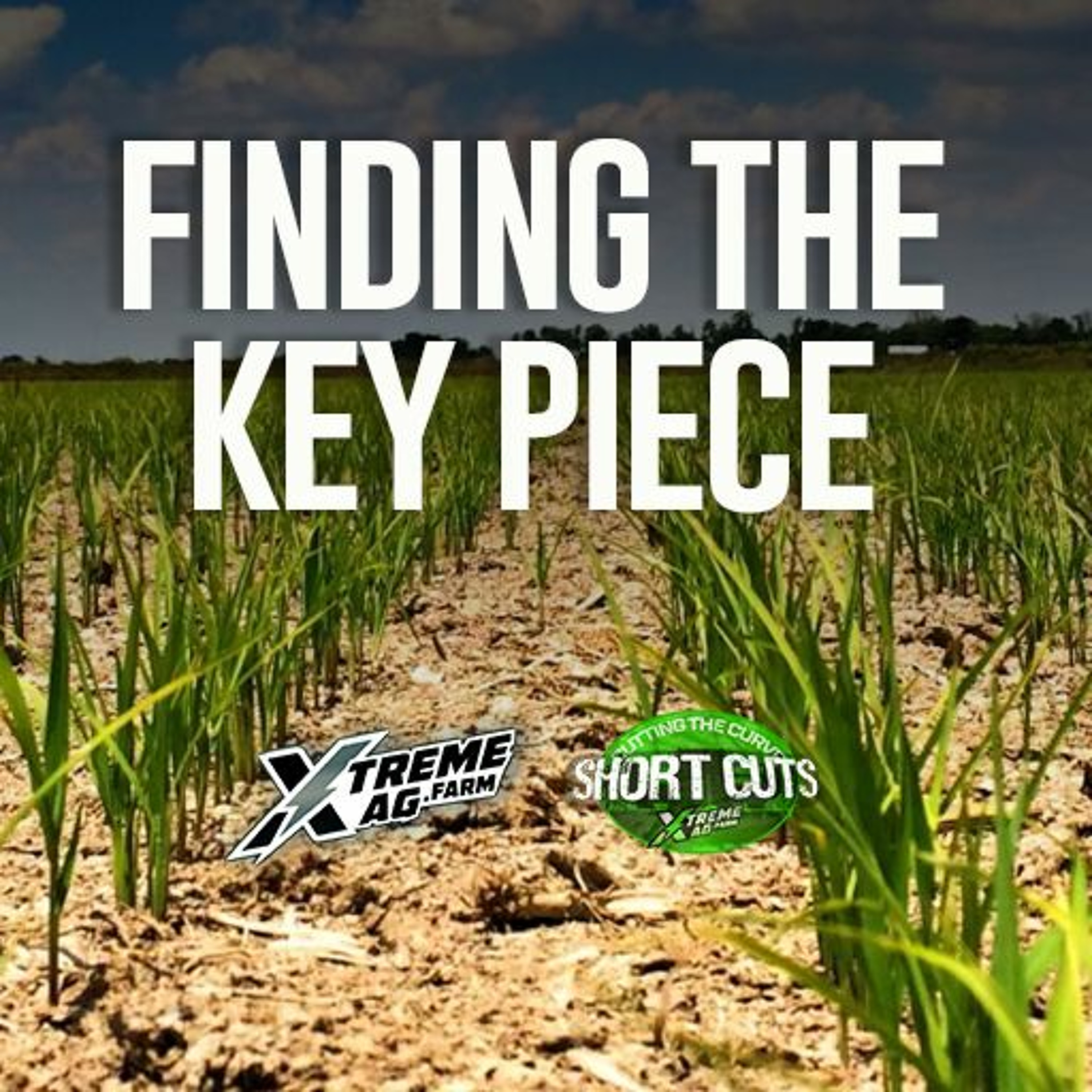 Finding The Key Piece