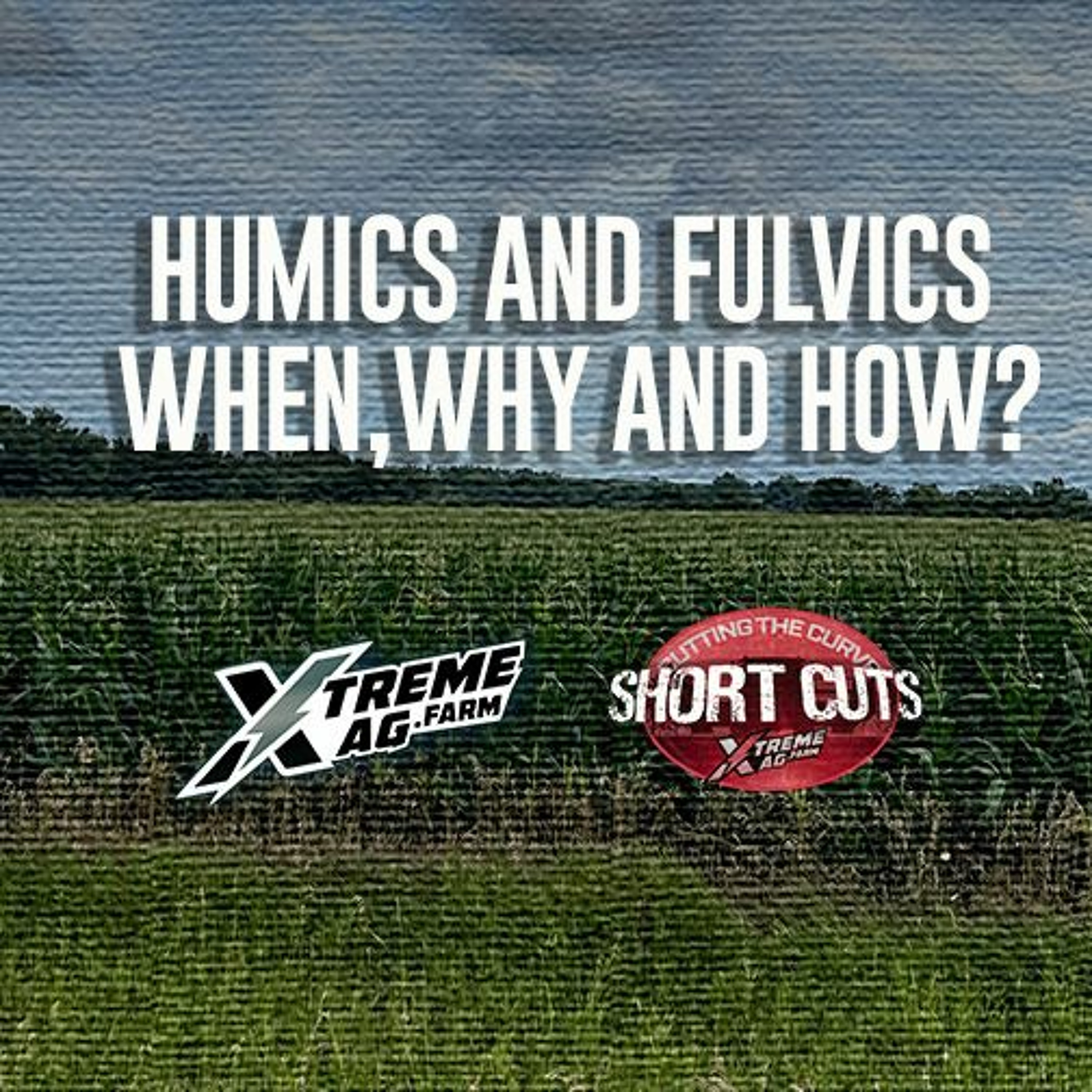 Humics and Fulvics. When, Why and How?