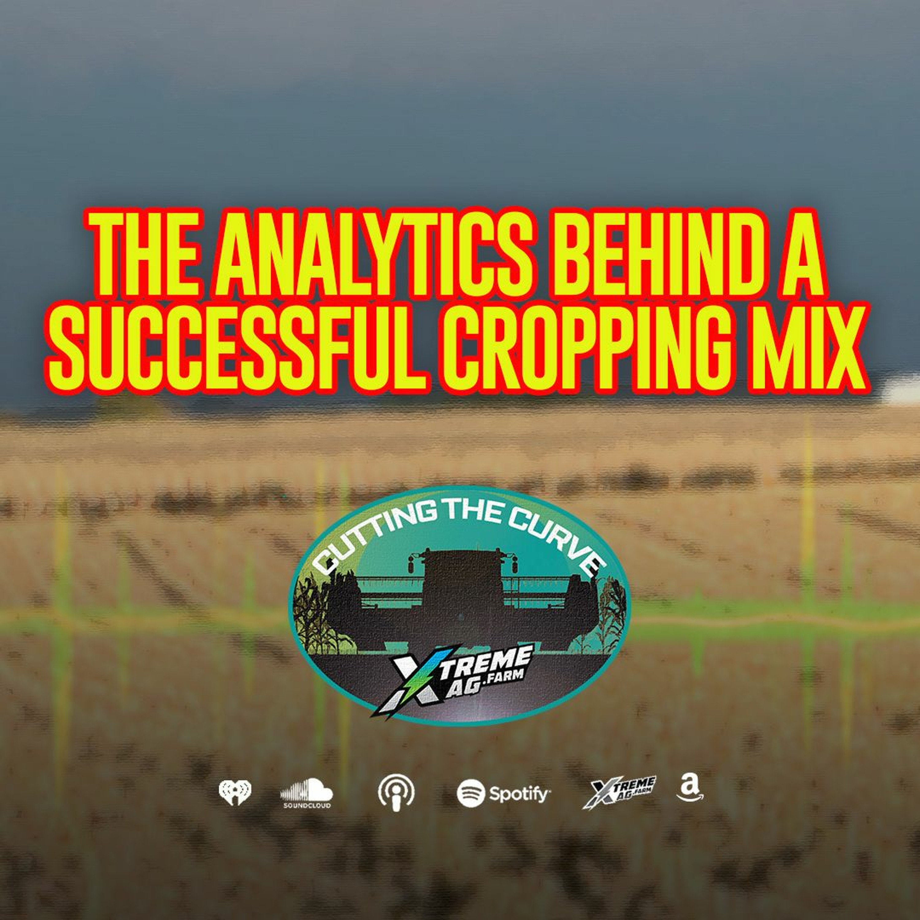 Cropping Mix Mastery: How Data Analytics Drives Successful Farming Decisions