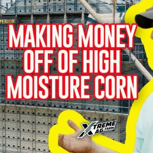 Making Money Off Of High Moisture Corn