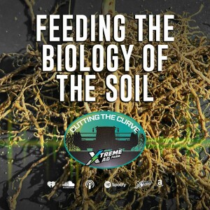 Feeding The Biology of the Soil
