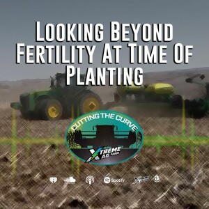 Looking Beyond Fertility At Time Of Planting