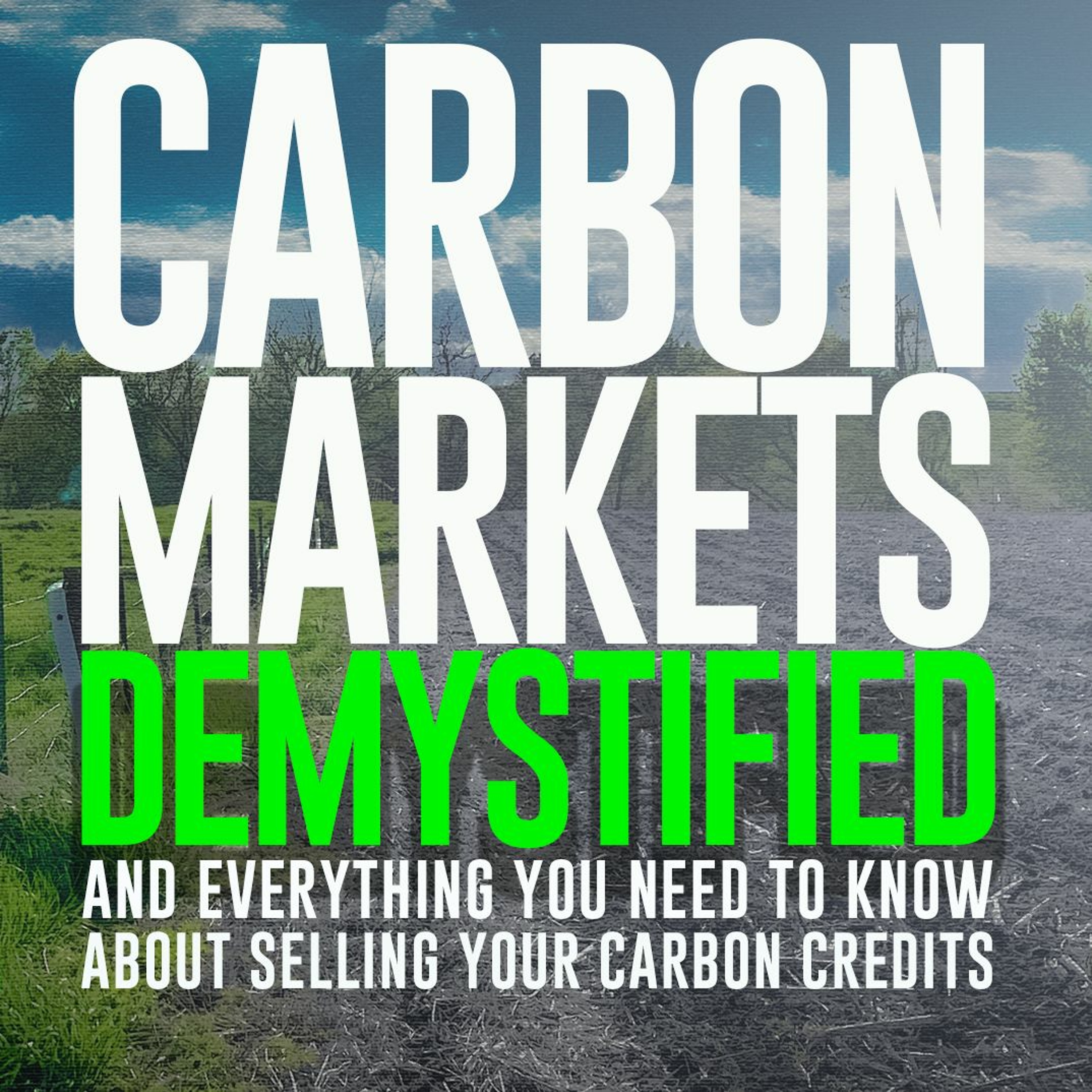 WEBINAR: CARBON MARKETS DEMYSTIFIED