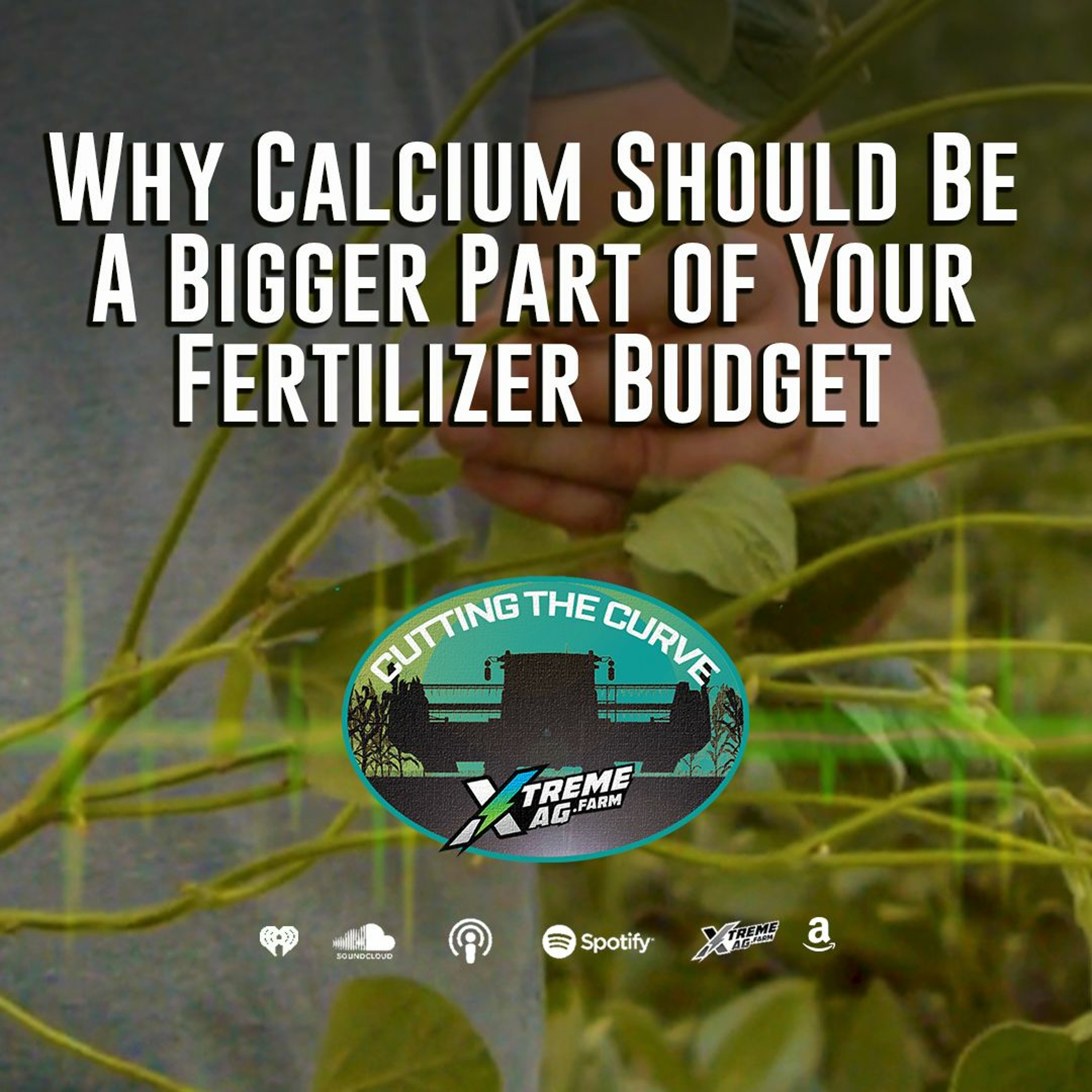 Why Calcium Should Be A Bigger Part of Your Fertilizer Budget