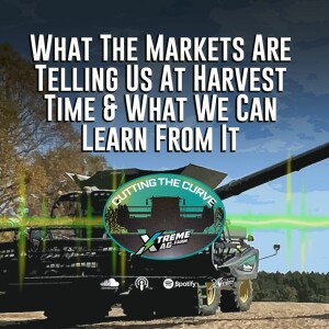 What The Markets Are Telling Us At Harvest Time & What We Can Learn From It