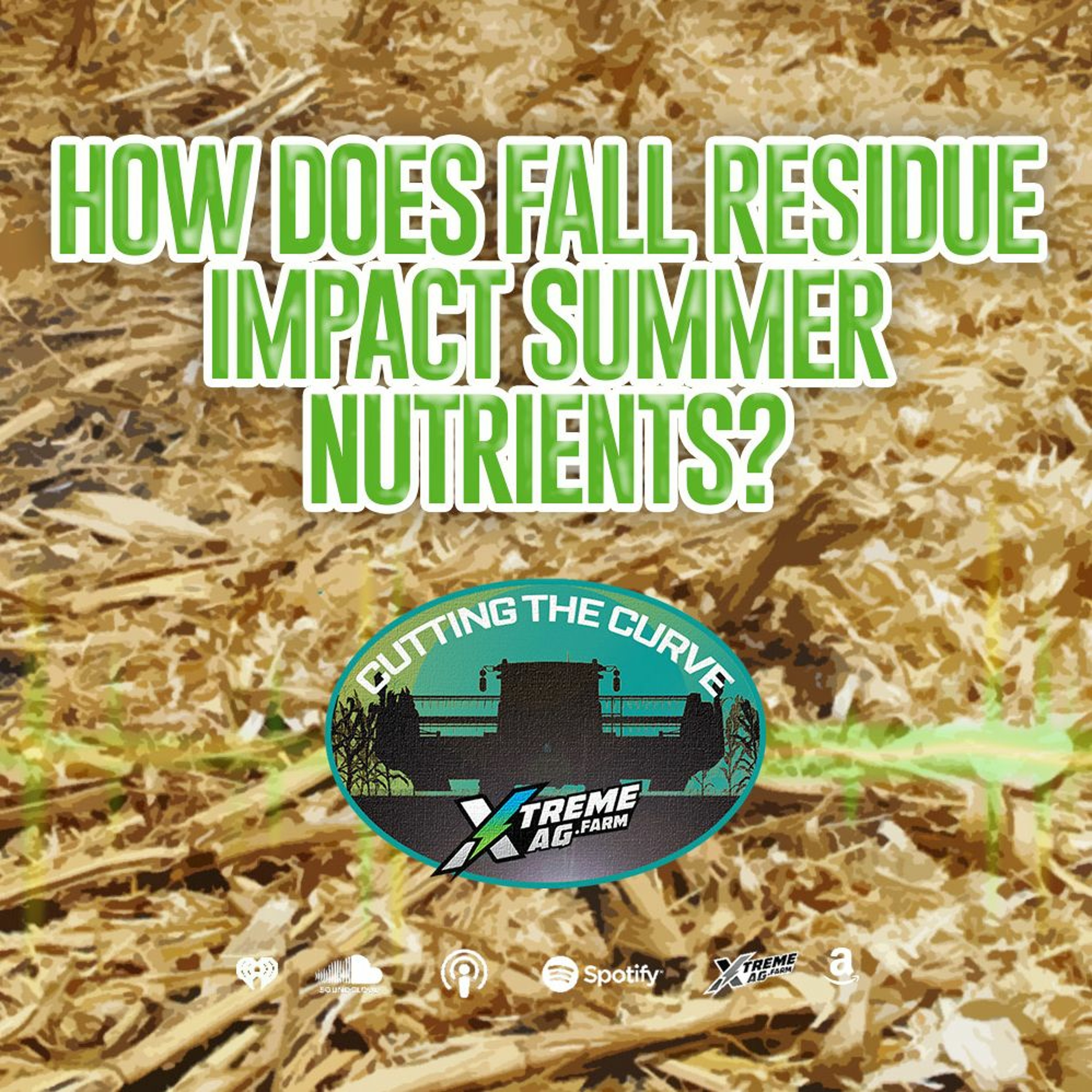 How Does Fall Residue Impact Summer Nutrients?