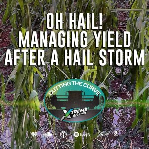 OH HAIL! MANAGING YIELD AFTER A HAIL STORM