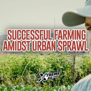 Strategies and Adaptations For Successful Farming Amidst Urban Sprawl
