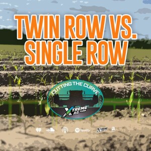 Twin Row Versus Single Row: Corn & Soybean Results On Raised Beds