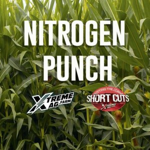 Nitrogen Punch