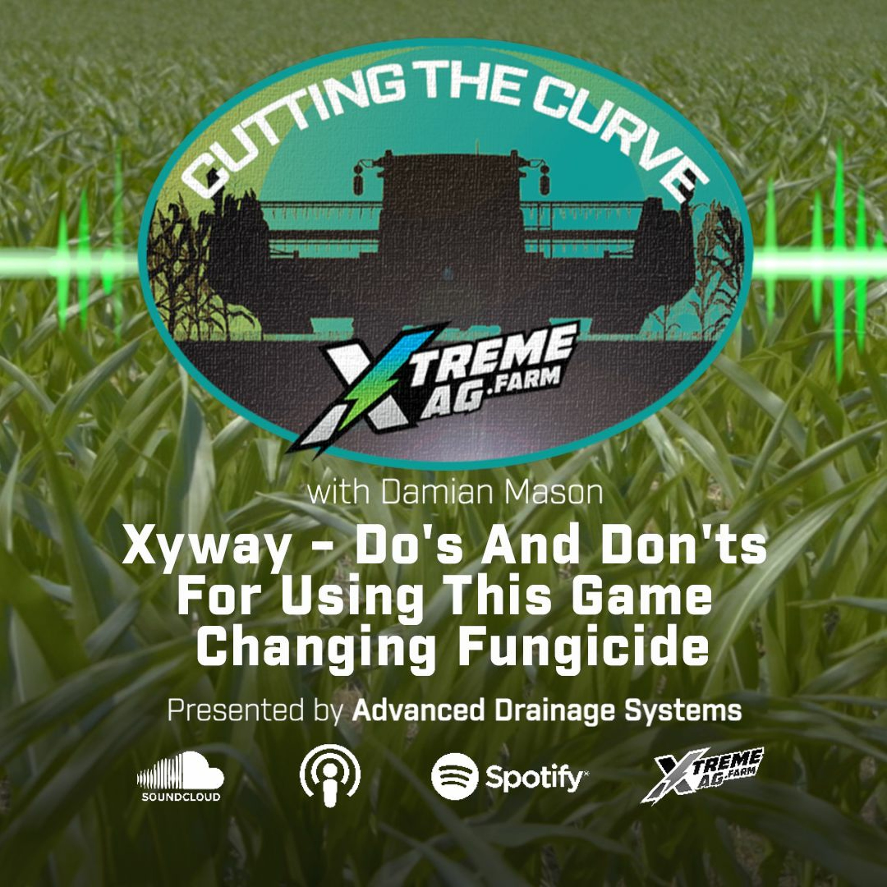 Xyway - Do’s And Don’ts For Using This Game Changing Fungicide