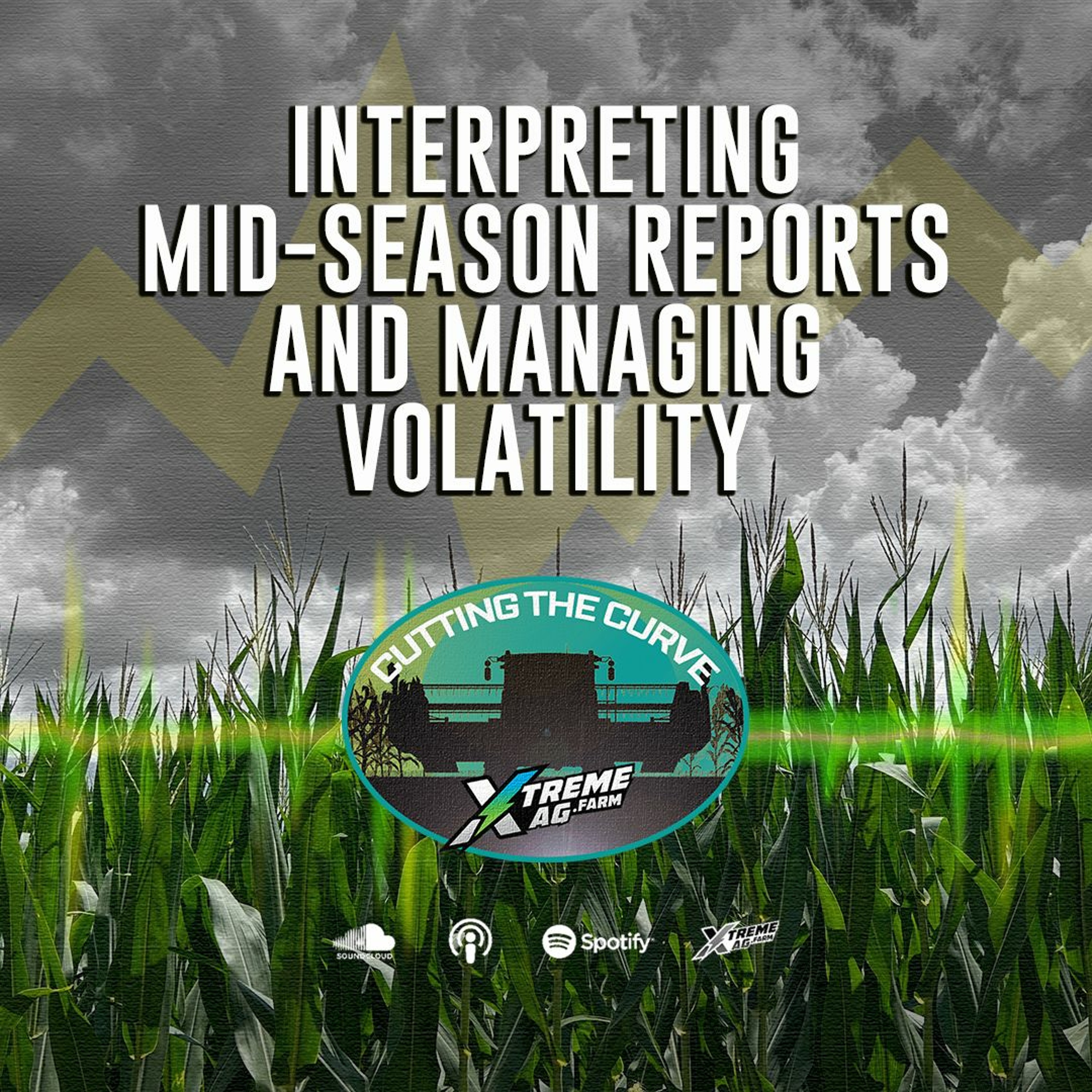 Interpreting Mid-Season Reports and Managing Volatility