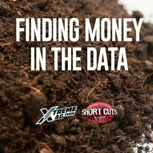 Finding Money in The Data