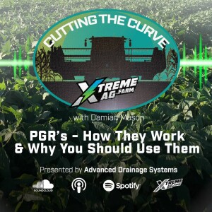 PGR’s — How They Work & Why You Should Use Them