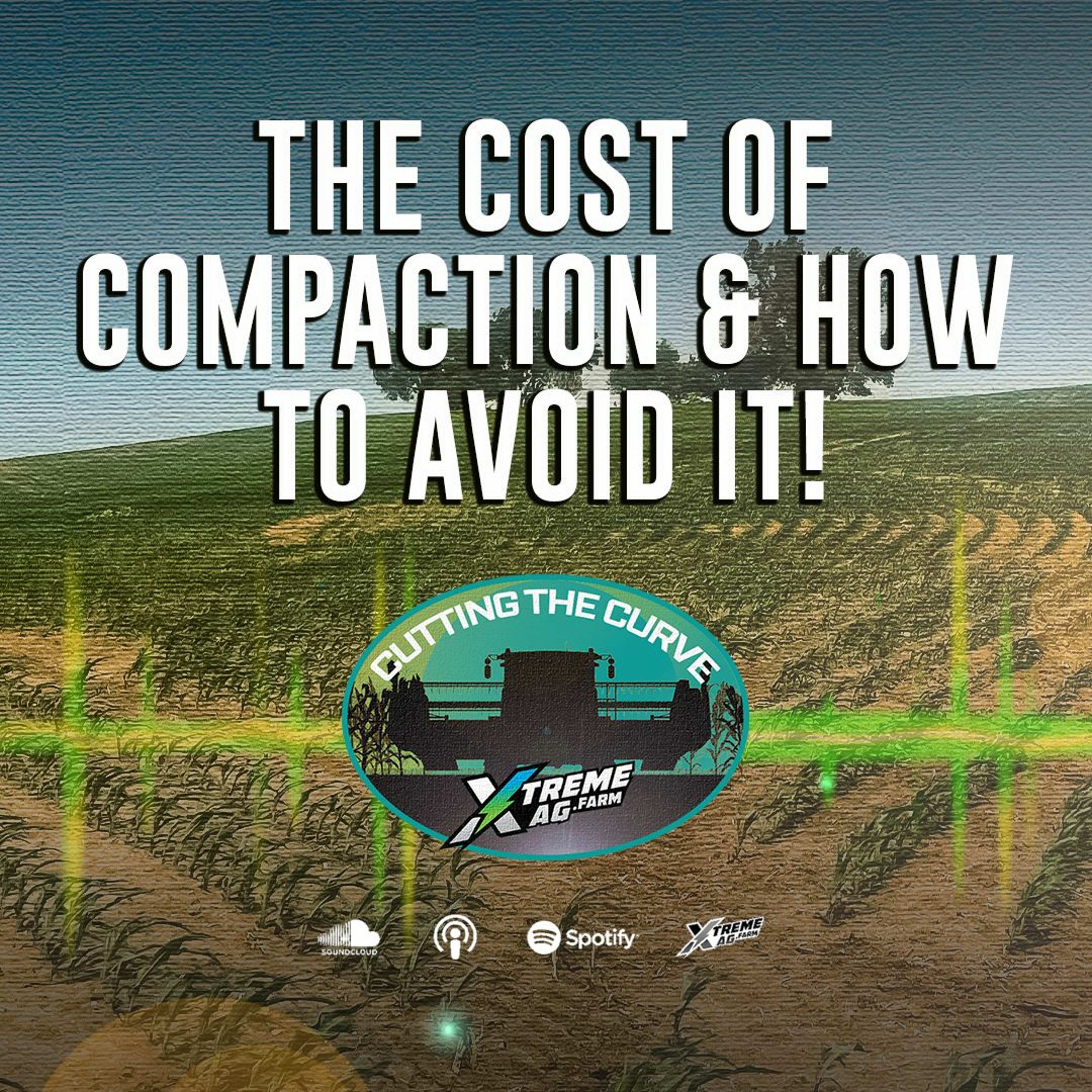 Cost of Compaction and How To Avoid It!