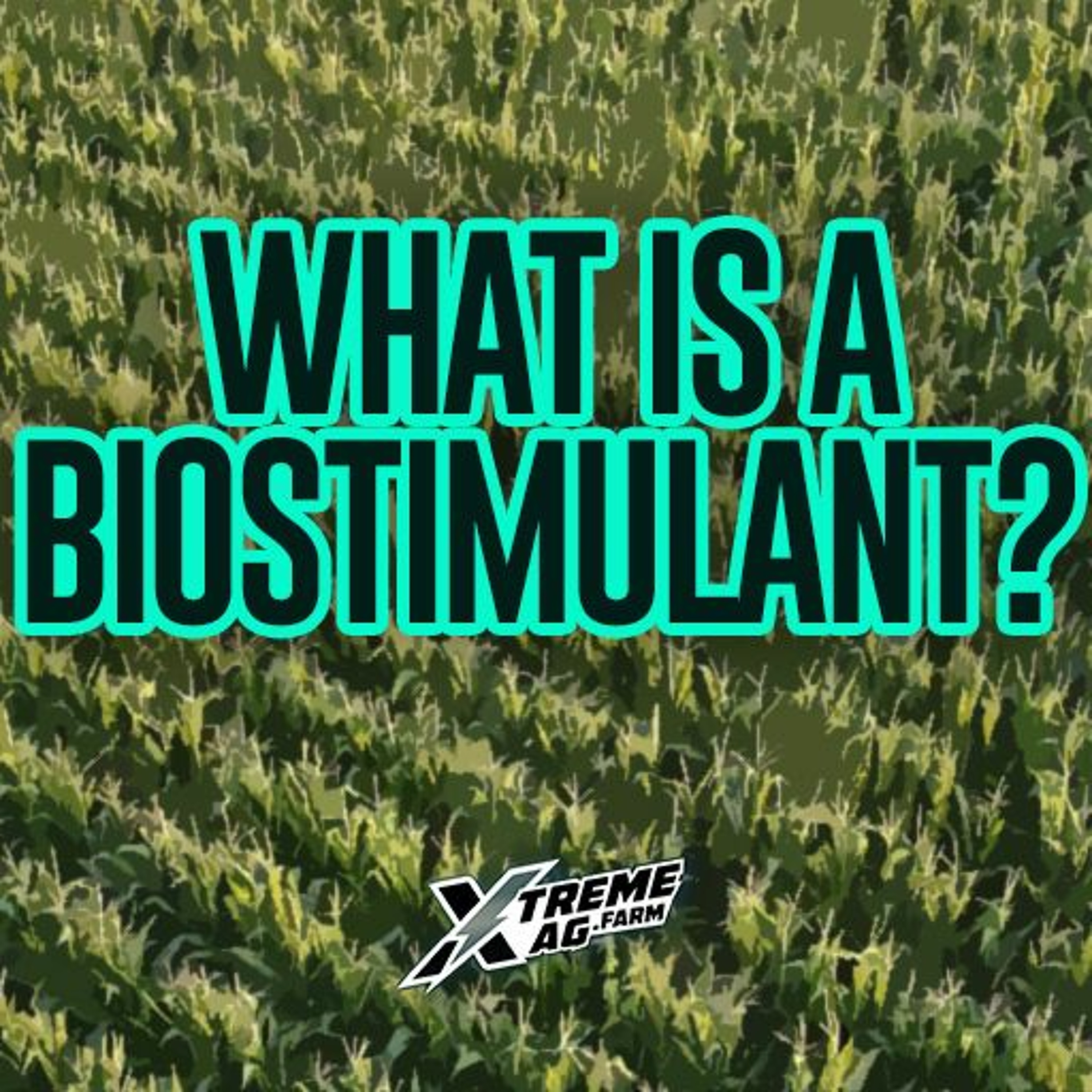 What Is A Plant Biostimulant?