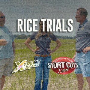 THE RICE TRIAL
