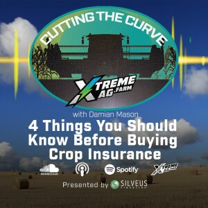 4 Things You Should Know Before Buying Crop Insurance
