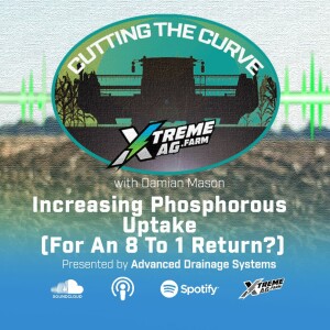 Increasing Phosphorous Uptake (For An 8 To 1 Return?)