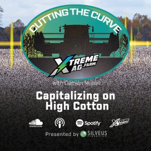 Capitalizing On High Cotton