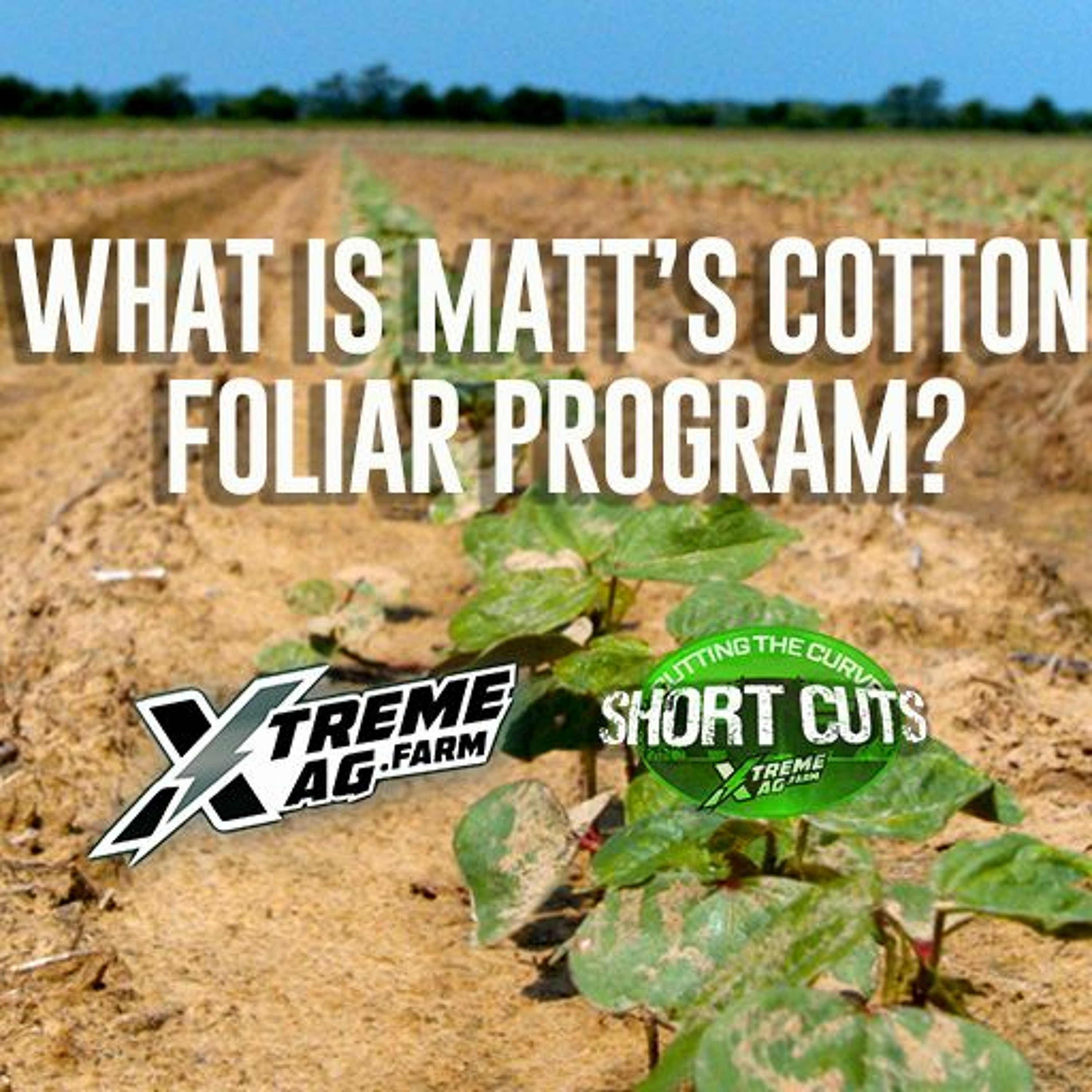 Short Cuts- Matts Cotton Foliar Program