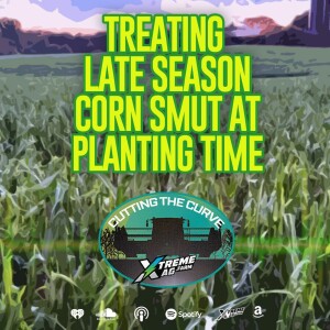 Treating Late Season Corn  At Planting Time