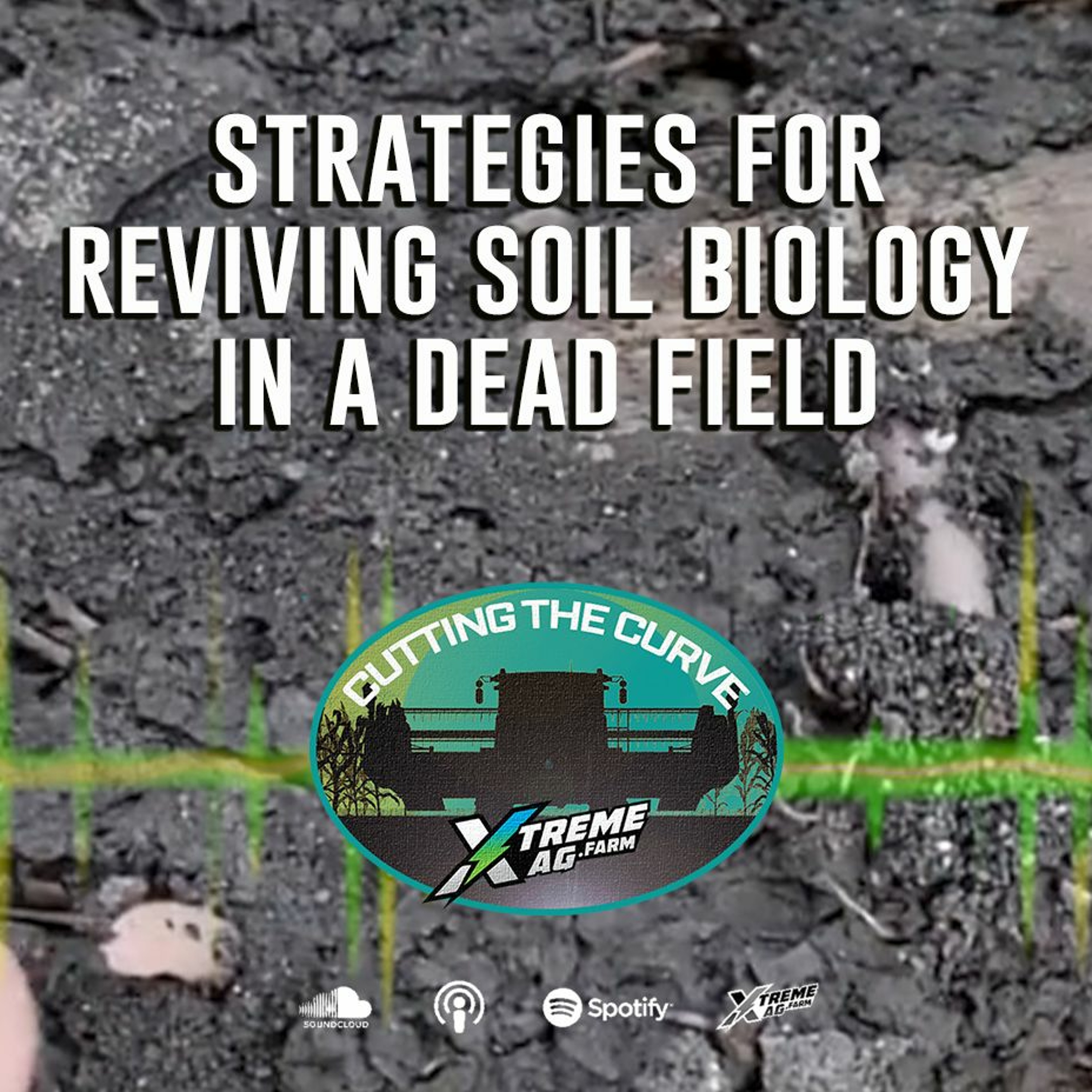 Strategies For Reviving Soil Biology In A Dead Field