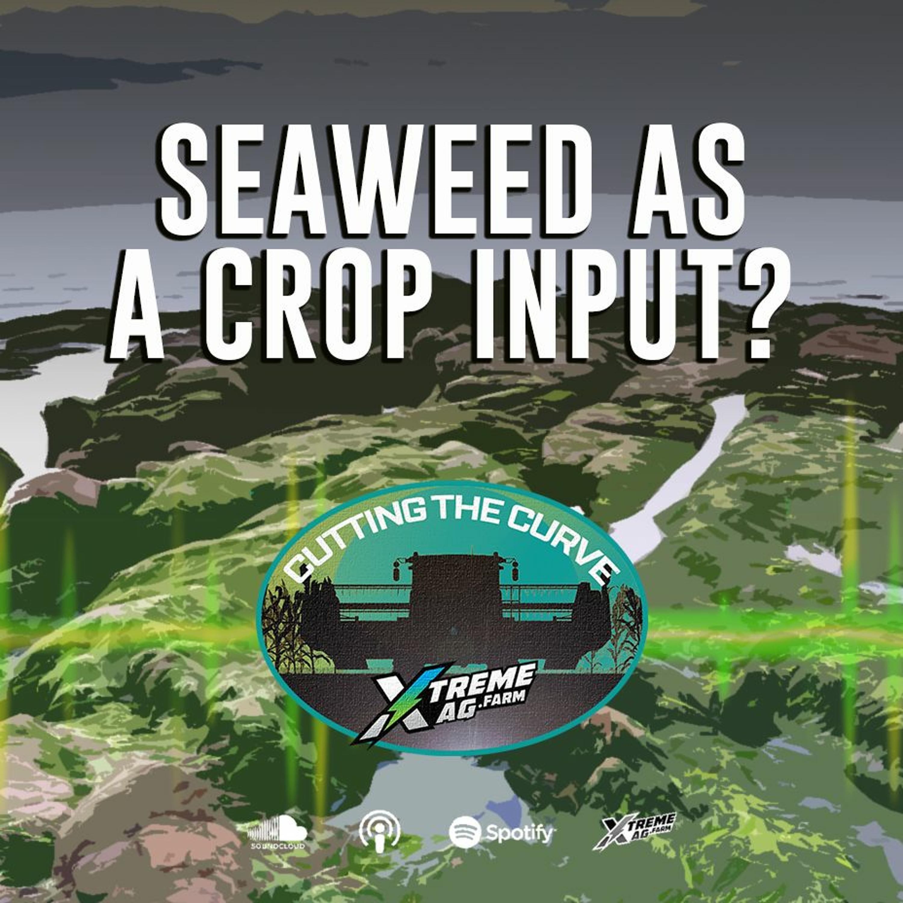 Seaweed As A Crop Input?