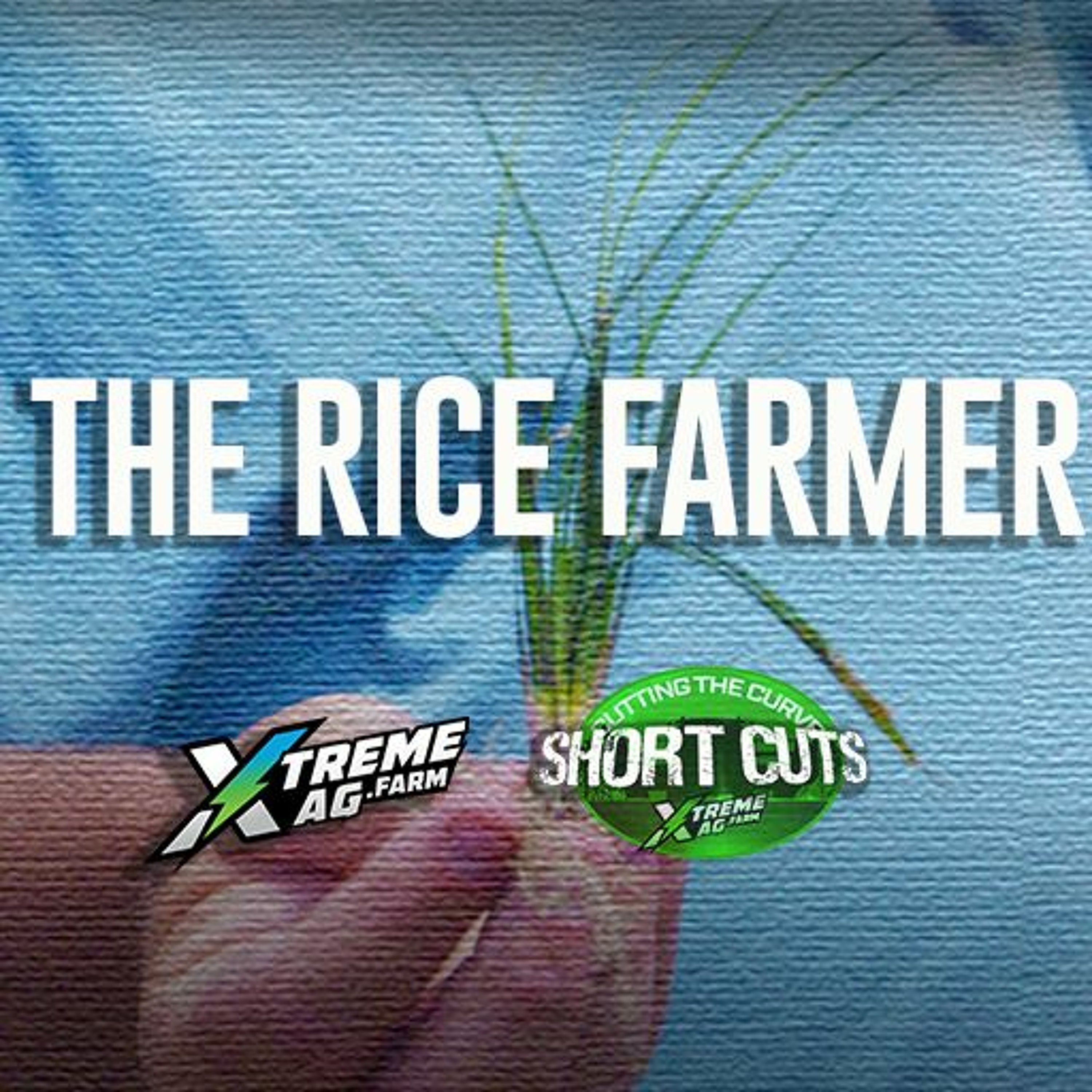 Short Cuts: The Rice Farmer