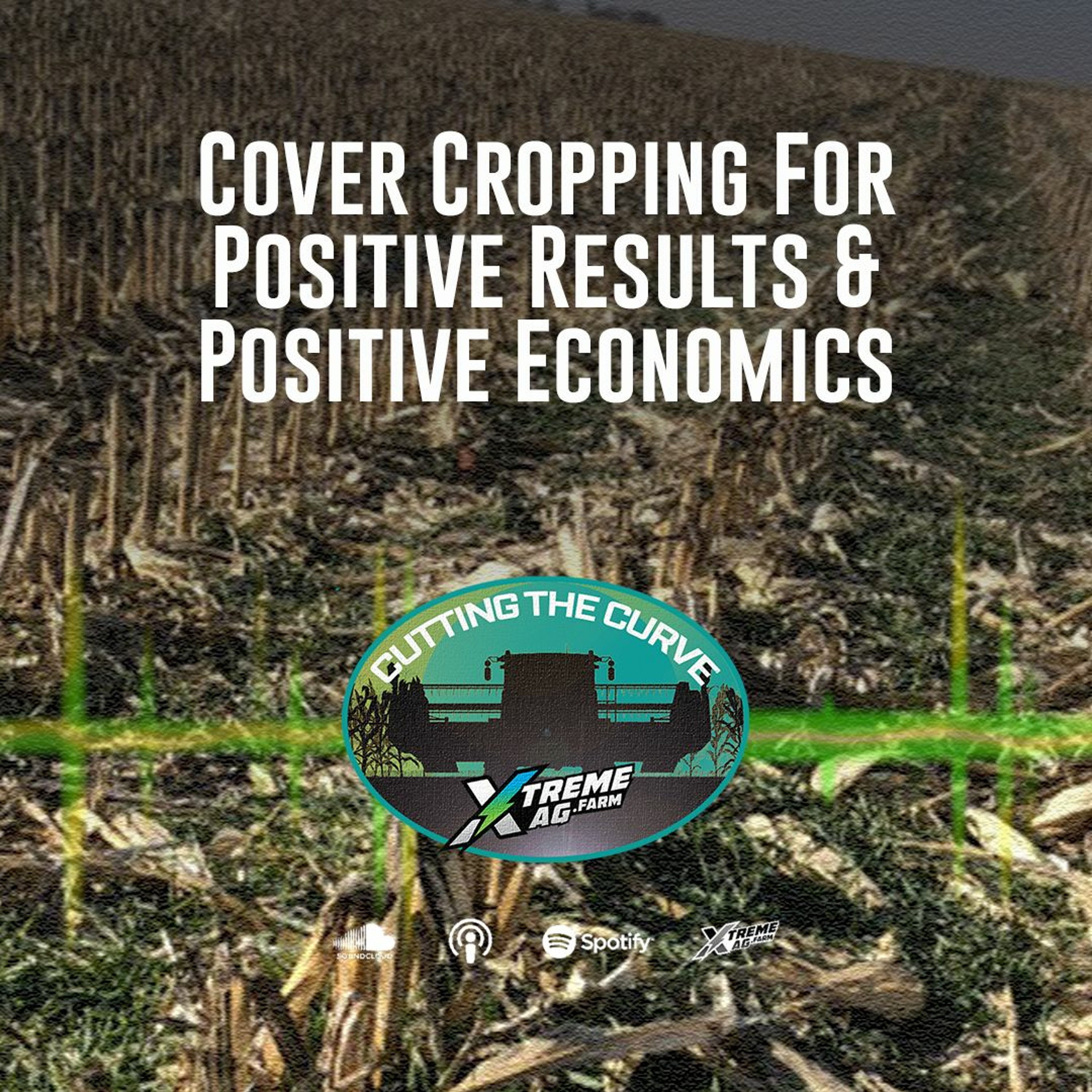 Cover Cropping For Positive Results & Positive Economics