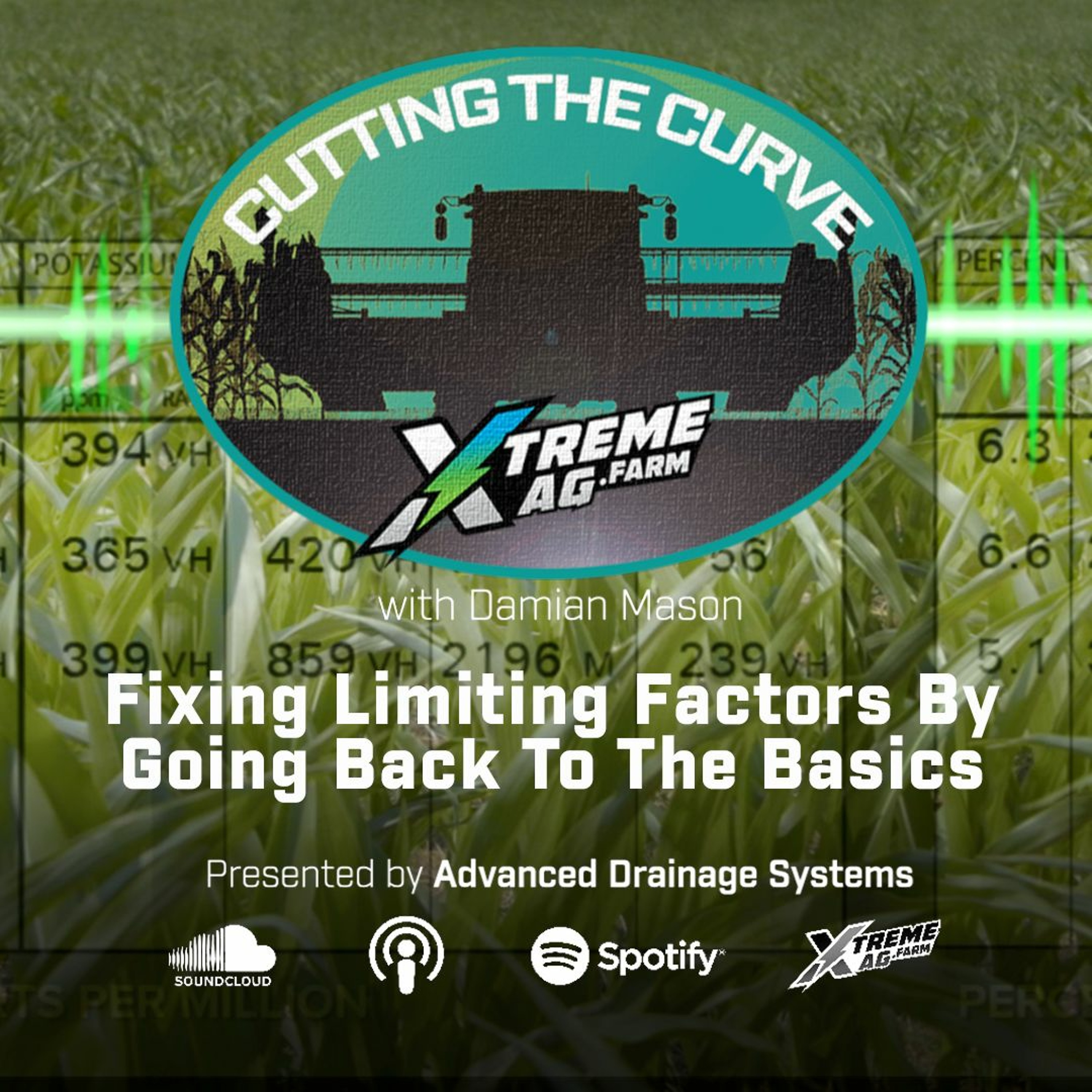 Fixing Limiting Factors By Going Back To The Basics