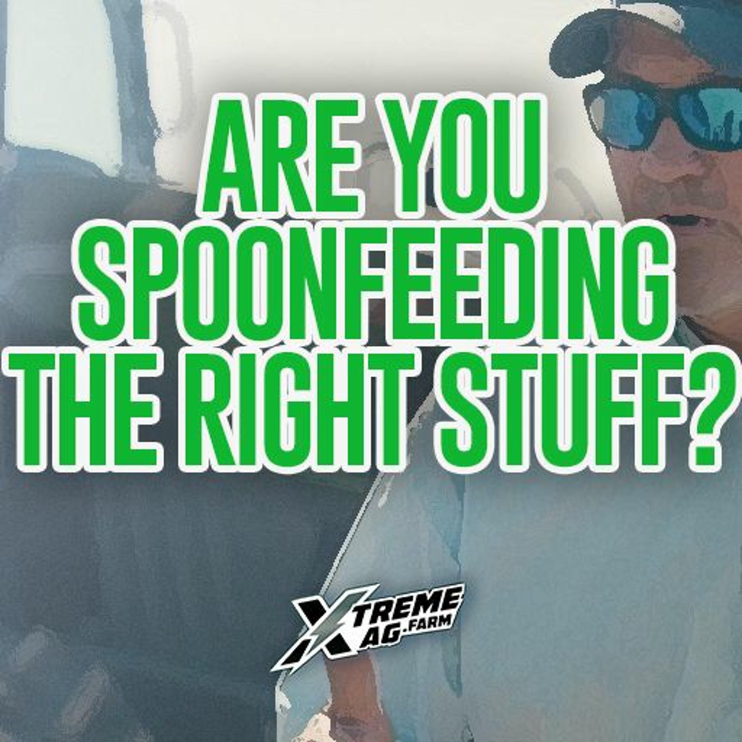 Are You Spoon Feeding Soybeans The Right Stuff