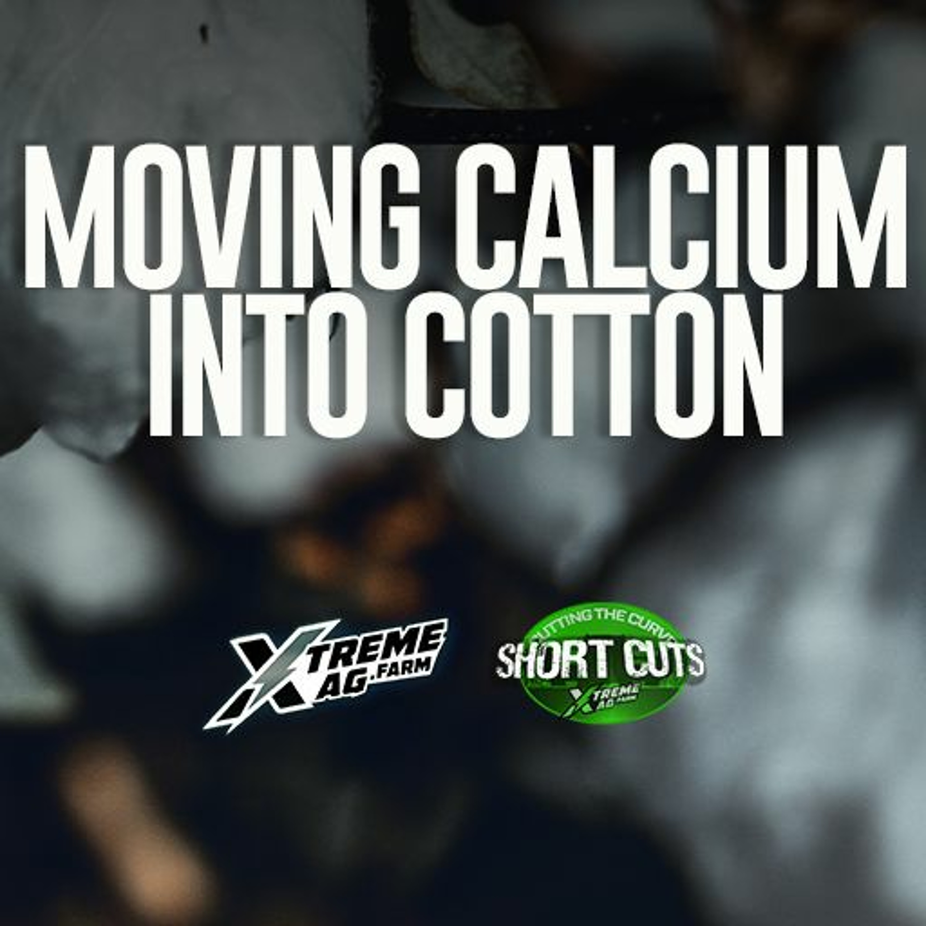 Moving Cotton Calcium Into Cotton