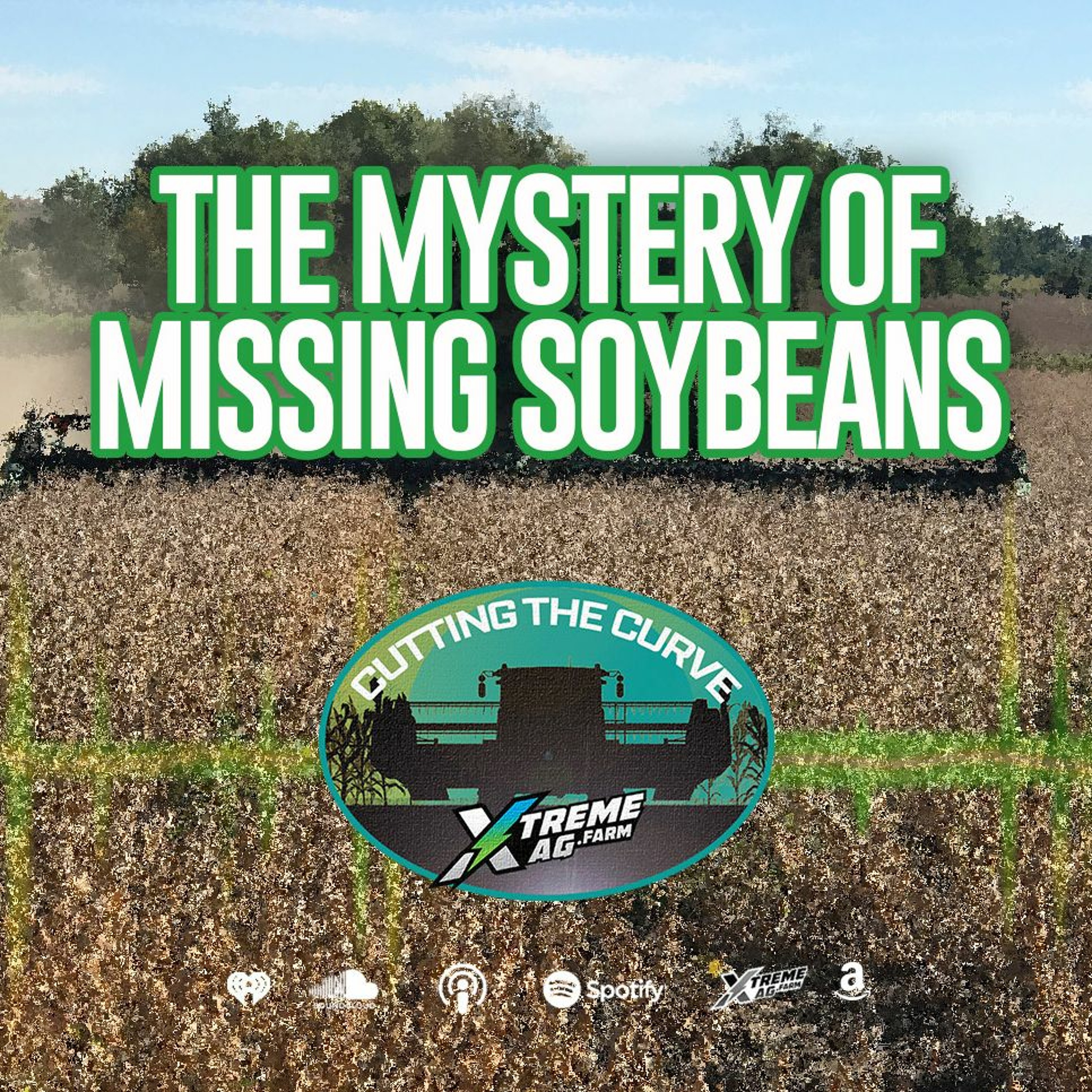 The Mystery of The Missing Soybeans