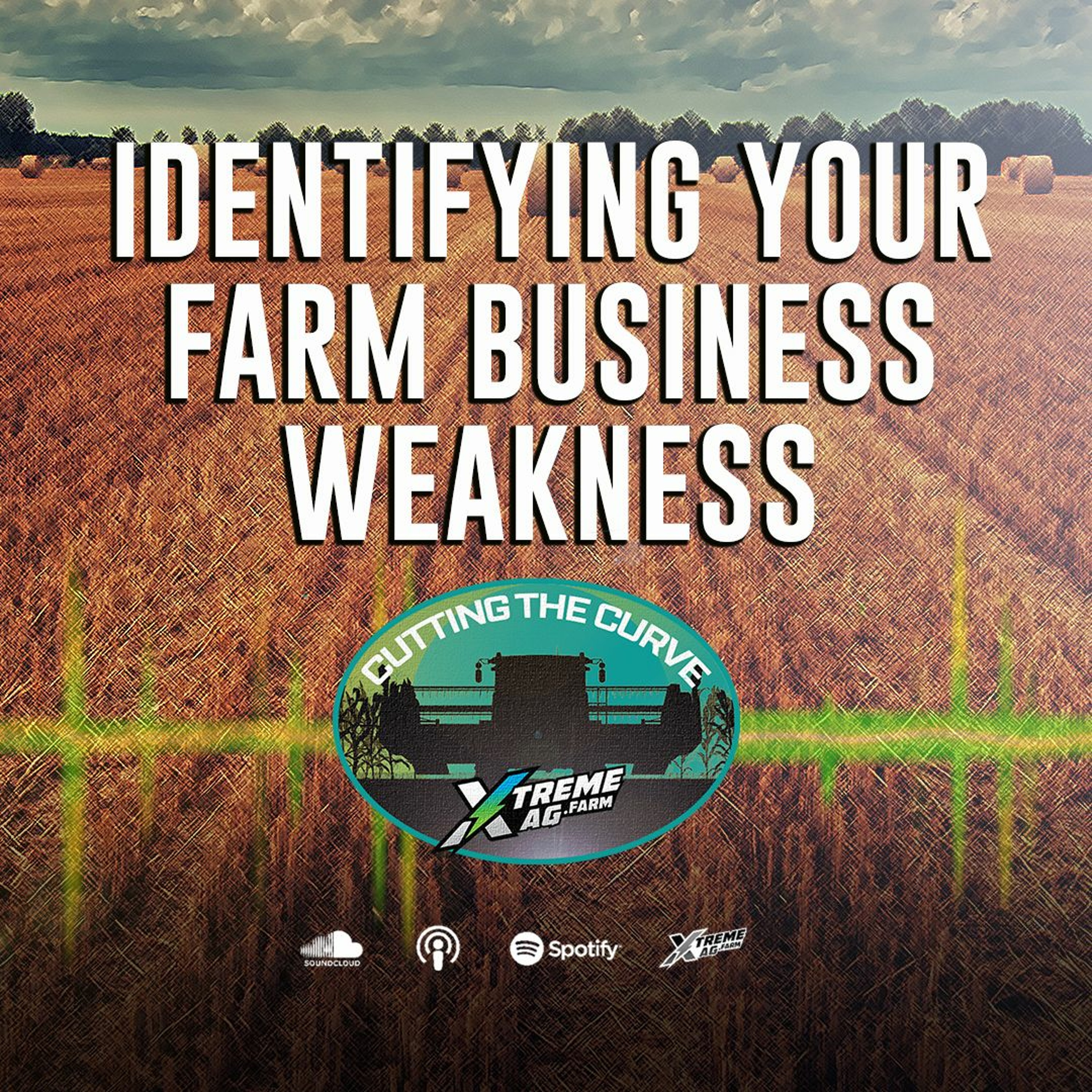 Identifying Your Farm’s Business Weaknesses