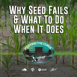 Why Seed Fails & What To Do When It Does