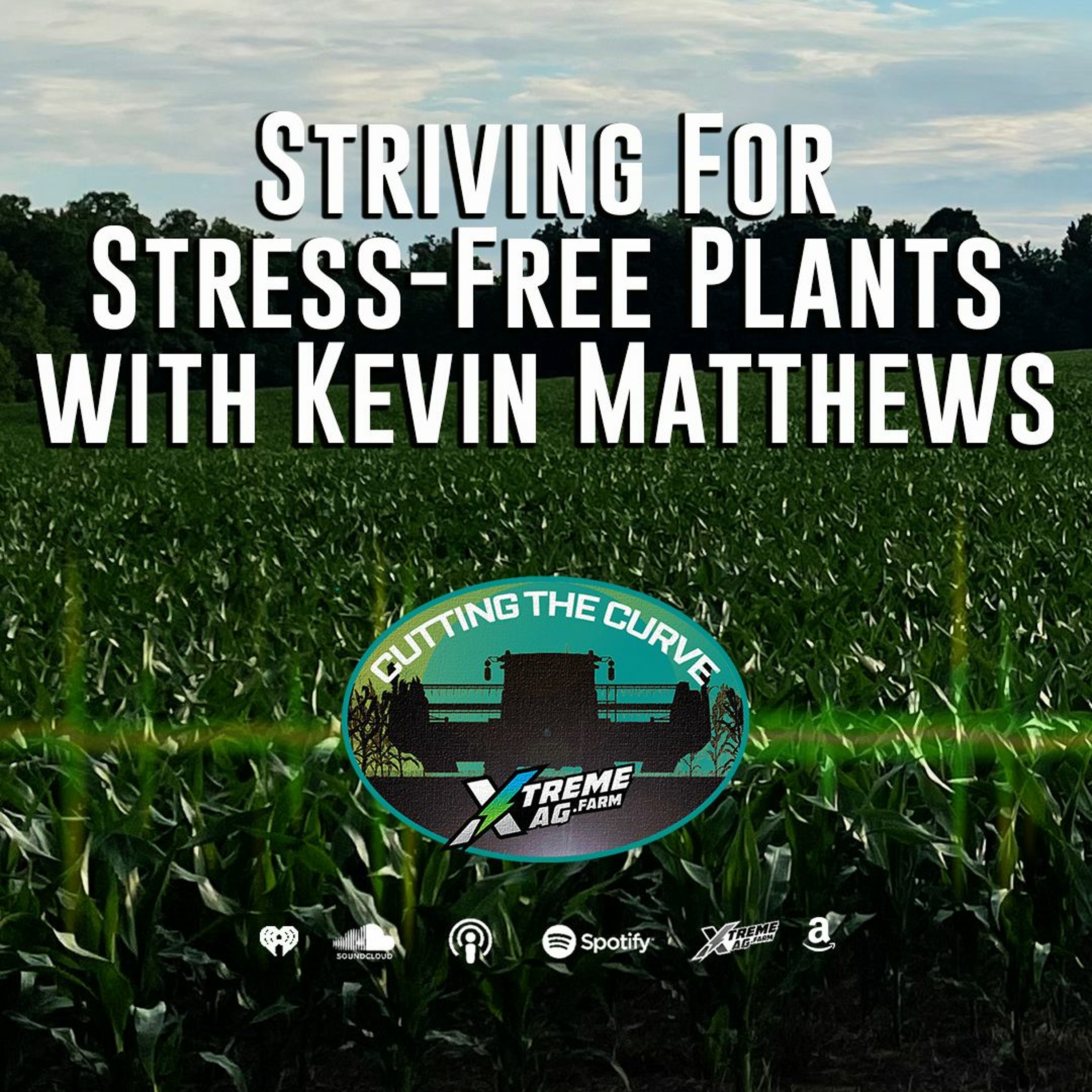 Striving For Stress-Free Plants with Kevin Matthews