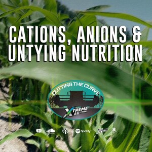 Cations, Anions & Untying Nutrition