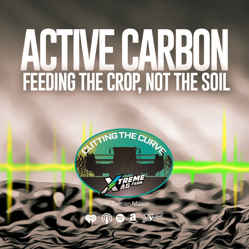 Feeding the Crop, Not the Soil: How Activated Carbon Can Revolutionize Fertilizer Use