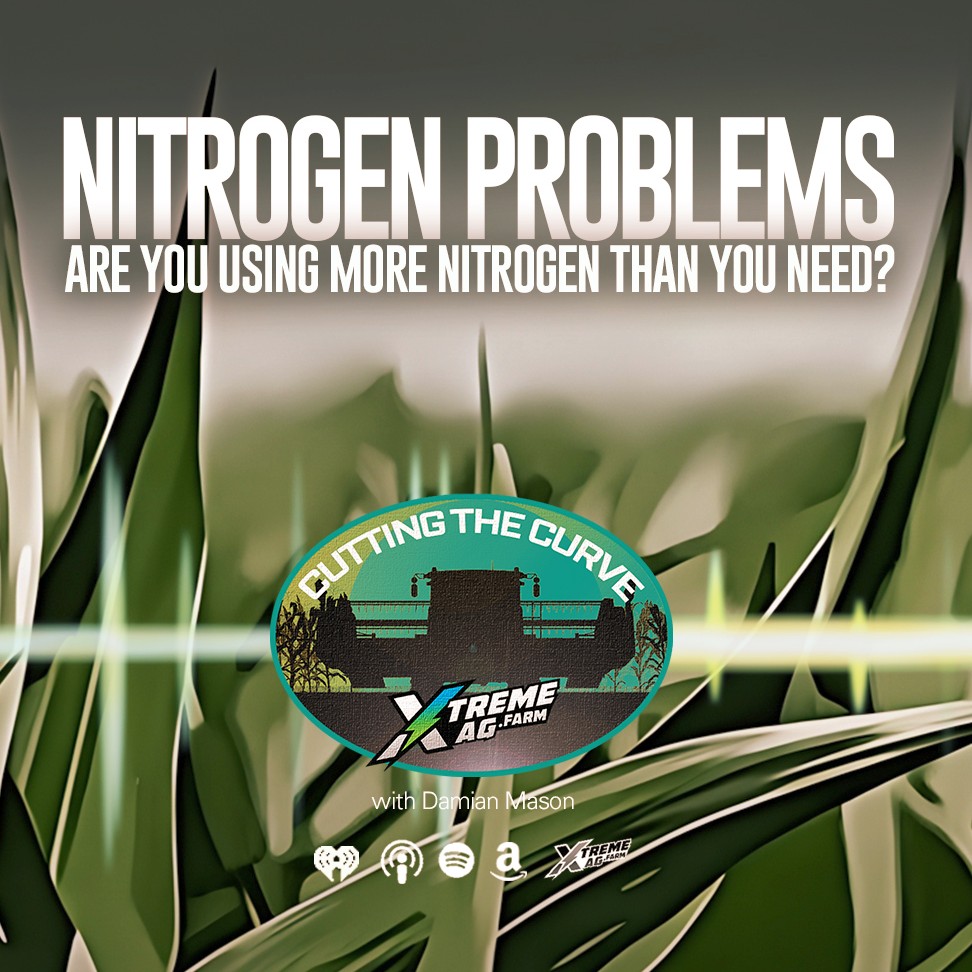 Nitrogen Problems: Are you Using More Nitrogen Than You Need?