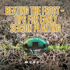 Beating the Frost: Expert Tips for Early Season Planting Success