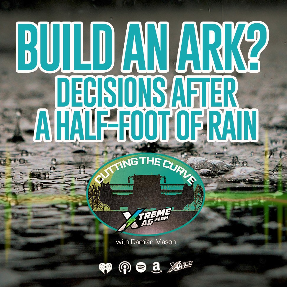 Time To Build an Ark? Decisions After a Half-Foot of Rain