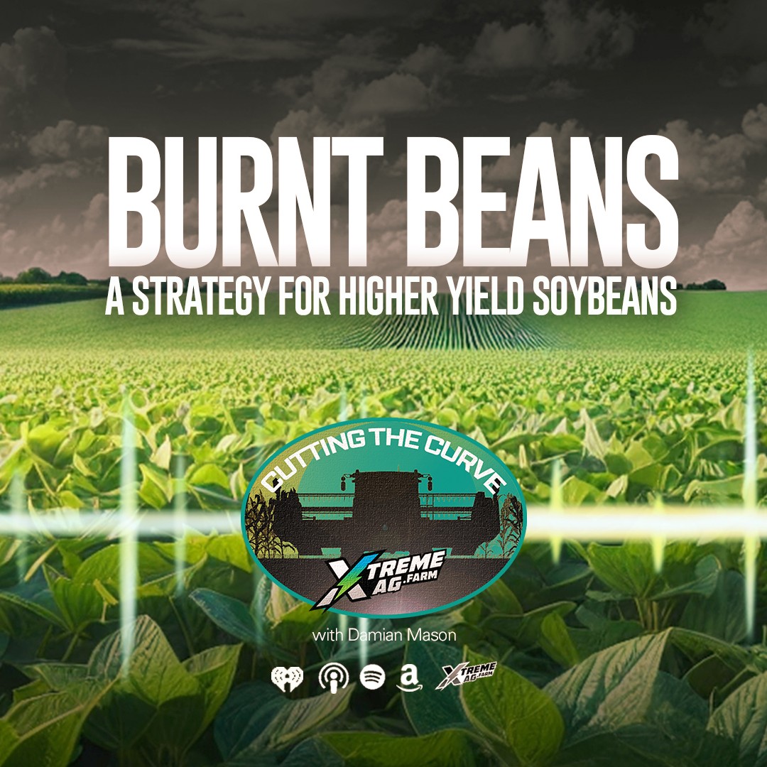 Burnt Beans — A Strategy For Higher Soybean Yields