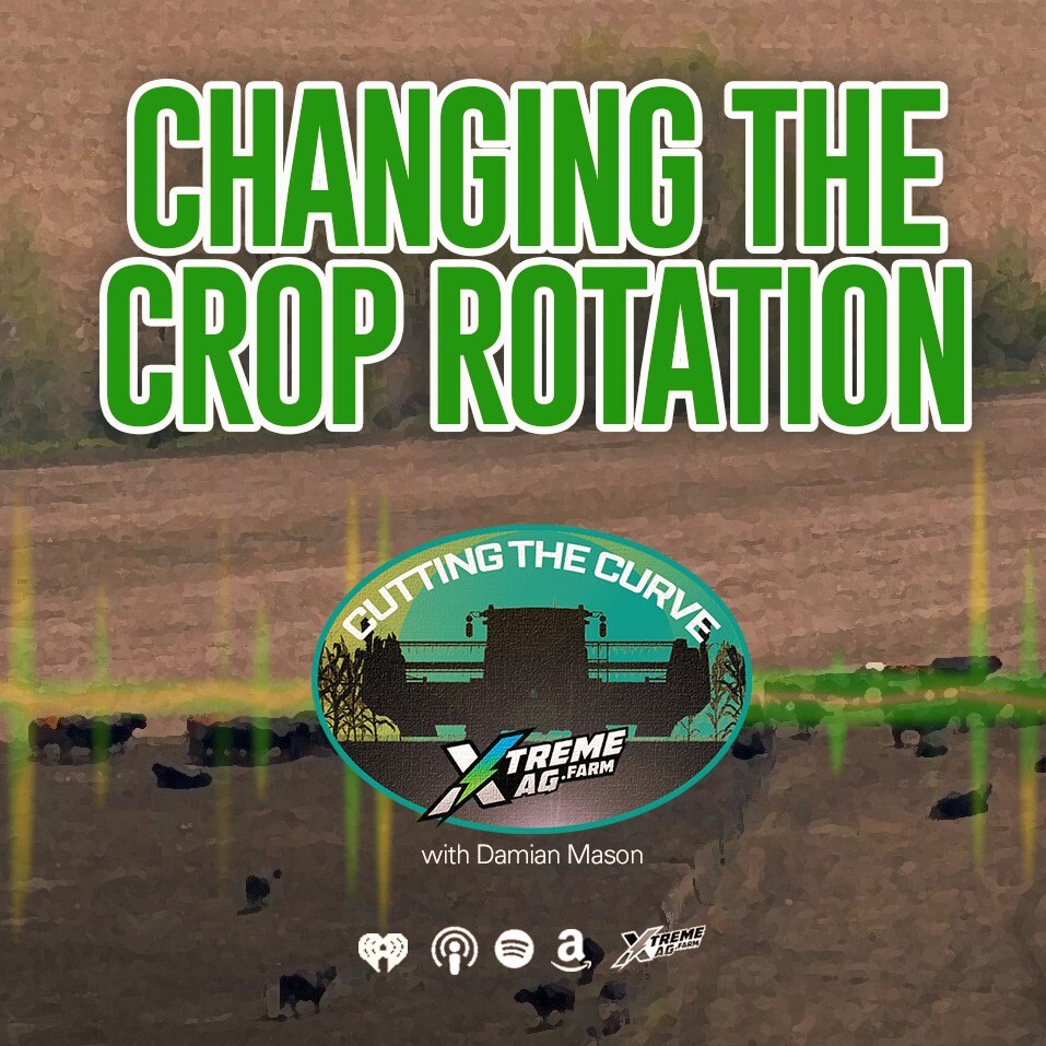 Changing the Crop Rotation — From Corn to Soybeans, to Corn to Cows!