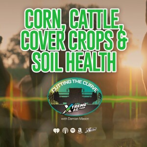 Corn, Cattle & Cover Crops — An Evolution in Soil Health